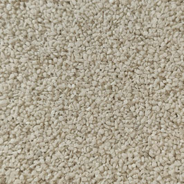 Sahara (Naturkorn)