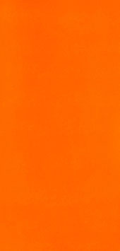 Neon Orange
