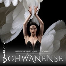 Schwanensee Donnerstag, 04.03.2027 | 19:00 NÜRNBERG | Meistersingerhalle Nürnberg
