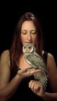 ANIMAL TOTEM - les Rapaces Nocturnes - séance studio le samedi 13 décembre 2025 à Poitiers