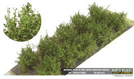 Welberg SDMG - 10 Büsche mittelgrün mit filigranen Blättern