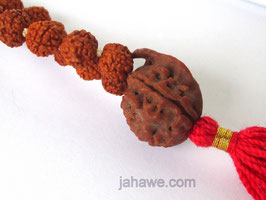 Ganesha  Rudraksha Mala mit 108 Perlen 5 Augen Rudraksha und eine Guruperle mit ganesha Rudraksha