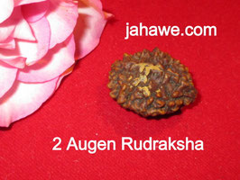 2 Augen Rudraksha mit etwas Sandelholzpaste von der Weihung