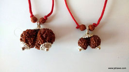 Gauri Rudraksha aus Nepal 24  mm breit !!!  eine etwas kleinere.