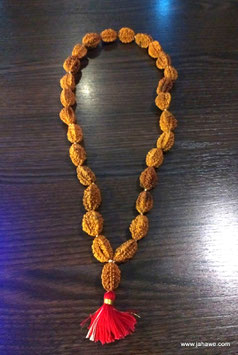 xxl Rudraksha 3 Augen Mala extrem selten, extrem groß  wunderbare Qualität. Nr. 10 Die einzelnen Rudrakshas haben eine  Länge von 26 - 32mm und breite bis  22 mm