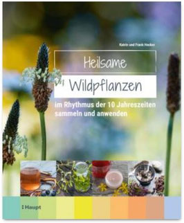 Heilsame Wildpflanzen