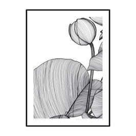 016 - [bocciolo di] loto