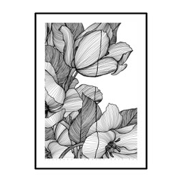 002 - tulipani