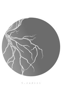 specchio Radici - natura.nera