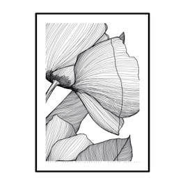 011 - [sulle labbra del] papavero