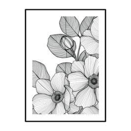 010 - [lacrima su] anemone