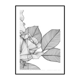 019 - sono sola come la rosa bianca [ 3|3 trittico dell'amore mai nato ]