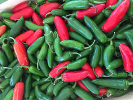 Peperoncino Jalapeno messicano Bio