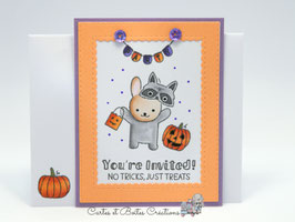 Lot de 5 Cartons Invitations Halloween - Bunny Party