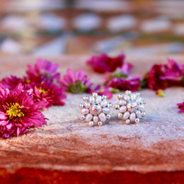 EDELWEISS . MOONLIT BLOSSOM
