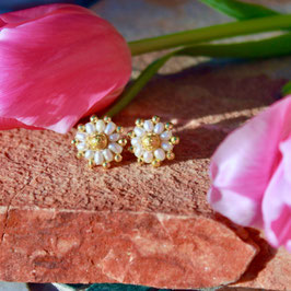 EDELWEISS . GOLDEN WHISPER