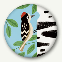 Magnet Specht