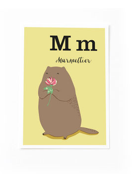 SALE - M wie Murmeltier