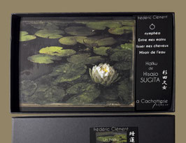 ÉCRIN NOIR à HAïKU (ici de Hisajo SUGITA)