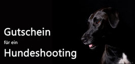 Hundeshooting - Gutschein / Termine -