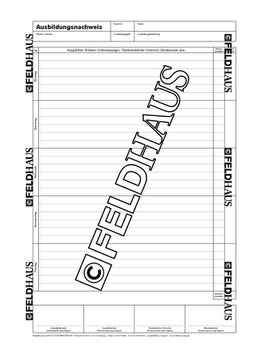 2009 Industrie & Handel - Berichtsheft für kaufmännische und gewerbliche Ausbildungsberufe vom Feldhaus Verlag