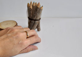 ANILLO NILO