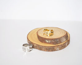 ANILLO DANUBIO