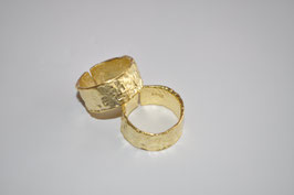 ANILLO IGUAZÚ