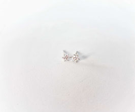 Minis Flor de plata