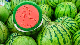 Melone - die Sommerliche