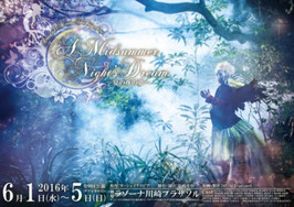 e.DVD『A Midsummer Night's Dream』