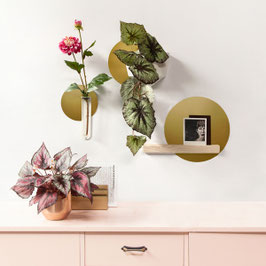 KREIDESTICKER . 3 KREISE . GOLD . GROOVY MAGNETS
