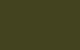 Olive Colour - 72