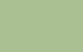 Pea Green - 91