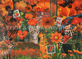 ST - 282 - FLEURS ORANGES - ORANGE FLOWERS