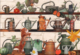 ST - 511 - ARROSOIRS - WATERING CANS