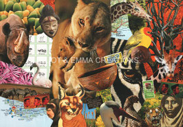 ST - 569 - AFRIQUE DU SUD - SOUTH AFRICA