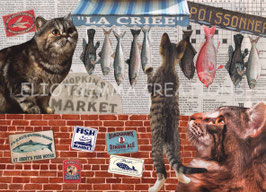 ST - 464 - CHATS et POISSONS - CATS and FISH