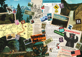 ST - 571 - PARCS NATIONAUX - VINTAGE NATIONAL PARKS