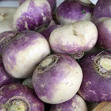 NAVET violet