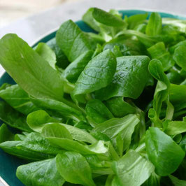 SALADE MACHE