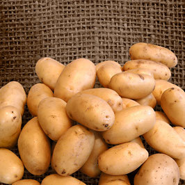 POMME DE TERRE