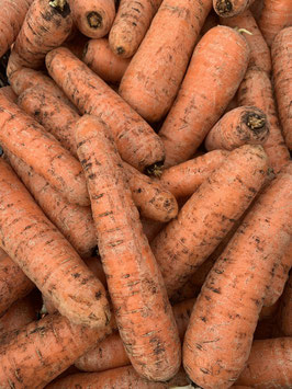 CAROTTE DE TERRE BIO
