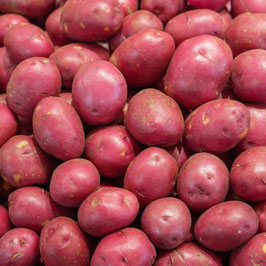 POMME DE TERRE ROUGE