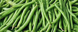 HARICOT VERT