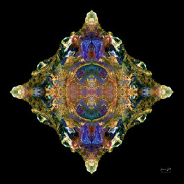 Lithoviso # 44 - Handsigniert, limitiert auf 99 Exemplare