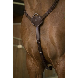 Collier de chasse Norton Pro Confort