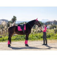 TAPIS DRESSAGE LOIRE CLASSIC SATIN