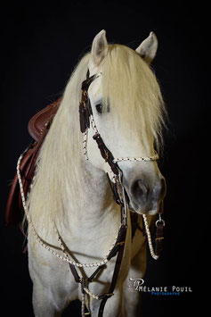 Bride CAMARGUE CORDE