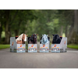 PACK PELUCHE PONEY  PLUS ACCESSOIRES